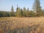 Plot For Sale In Ford, Washington