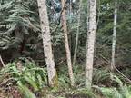 Plot For Sale In Port Townsend, Washington