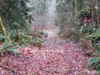 Plot For Sale In Snohomish, Washington