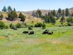 Home For Sale In Baker City, Oregon