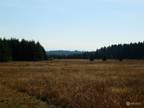 Plot For Sale In Winlock, Washington