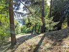 Plot For Sale In Shelton, Washington