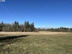 Plot For Sale In Camas, Washington