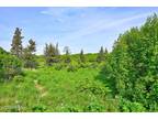 Plot For Sale In Ninilchik, Alaska