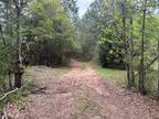 Foreclosure Property: Tantela Ranch Rd