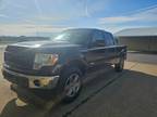 2013 Ford F-150 XLT SuperCrew 6.5-ft. Bed 4WD