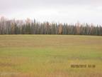 Plot For Sale In Delta Junction, Alaska