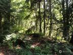 Plot For Sale In Tulalip, Washington