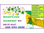 Cleaner, Cleaning - Homes, Carpets, Cars, Yards, Windows Etc