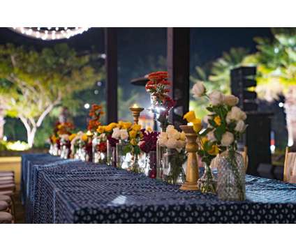 Nose to Tail Events is a Event Planners service in Mumbai MH