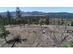 Plot For Sale In Colville, Washington