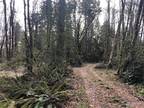 Plot For Sale In Olympia, Washington