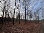 Plot For Sale In Silver Cliff, Wisconsin