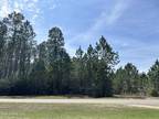 Plot For Sale In Carriere, Mississippi