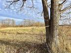 Plot For Sale In Saline, Michigan