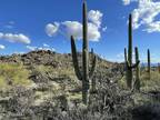 Plot For Sale In Oro Valley, Arizona