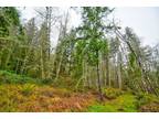 Plot For Sale In Adna, Washington