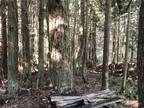 Plot For Sale In Port Townsend, Washington