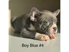 Boy Blue #4