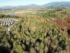 Plot For Sale In Mount Vernon, Washington