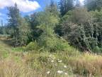 Plot For Sale In Olympia, Washington