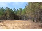 Plot For Sale In Hickory Flat, Mississippi