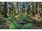 Plot For Sale In Enumclaw, Washington