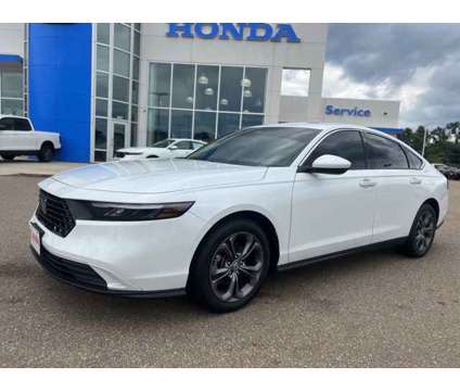 2024 Honda Accord EX is a Silver, White 2024 Honda Accord EX Sedan in Vicksburg MS