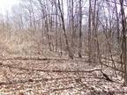 Plot For Sale In Mount Pleasant, Michigan