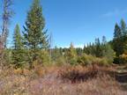 Plot For Sale In Inchelium, Washington