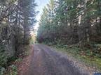 Plot For Sale In Sweet Home, Oregon