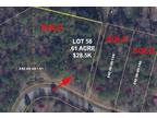 271 Cecil Dr Lot 58 Waterloo, SC