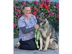 Nadia von Naila German Shepherd Dog Adult Female