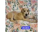 Mom's Day Sale Rama