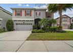 19303 Water Maple Dr, Tampa, FL 33647