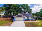 4159 Yellowwood Dr, Valrico, FL 33594