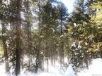 Plot For Sale In Conifer, Colorado