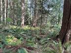 Plot For Sale In Poulsbo, Washington