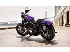 2014 Harley-Davidson Sportster® Iron 883™