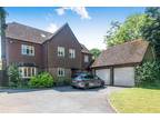 5 bed house to rent in Park Road, SO22, Winchester