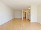 San Francisco 1BA, Large studio in a prime location.