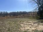 Plot For Sale In Puxico, Missouri