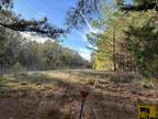 TBD CR 2153, Troup, TX 75789 Land For Sale MLS# 24001289