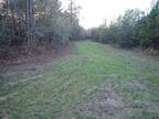Marion, Perry County, AL Undeveloped Land for sale Property ID: 419046574
