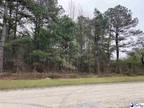 Plot For Sale In Dillon, South Carolina