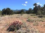 El Prado, Taos County, NM Horse Property for sale Property ID: 412389052