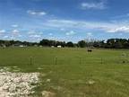 Farm House For Sale In Summerfield, Florida