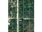 Labelle, Hendry County, FL Undeveloped Land, Homesites for sale Property ID: