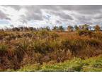 Lot Westbird Marsh, Westbird, NB, E4L 2H7 - vacant land for sale Listing ID