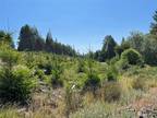 Plot For Sale In Boistfort, Washington